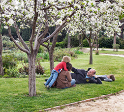 Una família en un parc estirada a la gespa sota uns arbres florits